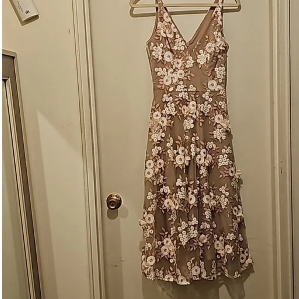 Dress the population Floral Embroidered Dress